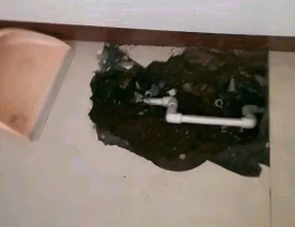 得荣卫生间测漏水多少钱